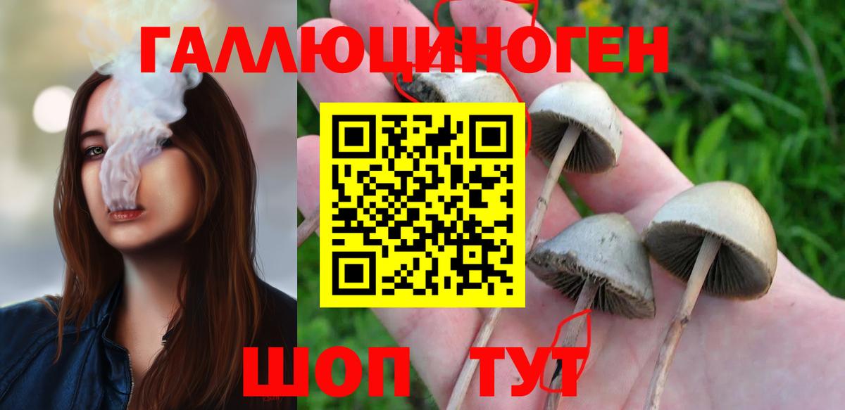 Коряжма  Псилоцибиновые грибы мухоморы  Вход с VPN 